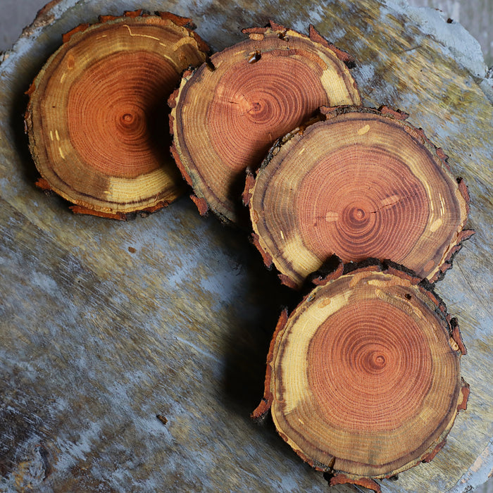 Rare Red Oak Natural Tree Wood Coasters with Bark