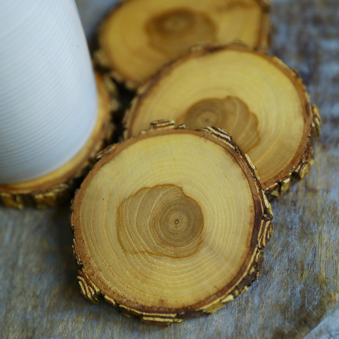 Tree Wood Drink Coasters with Beautiful Rare Brown & White Locust Bark, Sealed Locust Wood Drink Coasters, Wood Slice Beverage Coasters