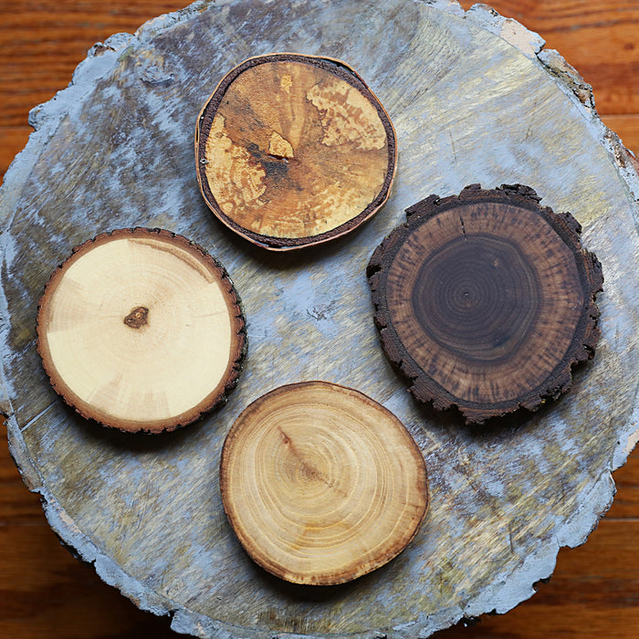 Variety Pack Natural Tree Wood Coasters with Bark