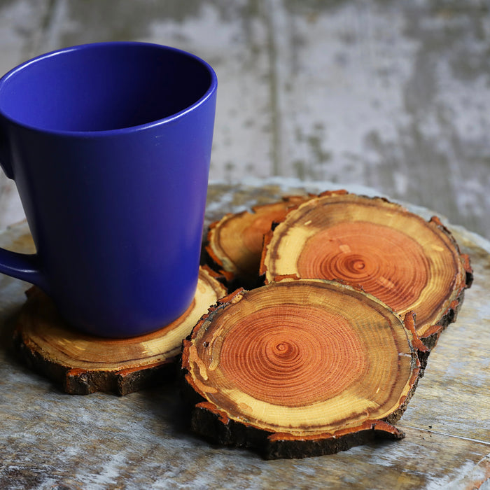 Rare Red Oak Natural Tree Wood Coasters with Bark