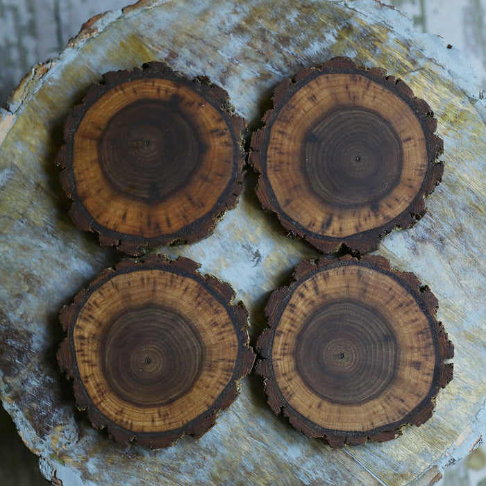 Rare Walnut Tree Wood Coasters with Bark (4-Pack)
