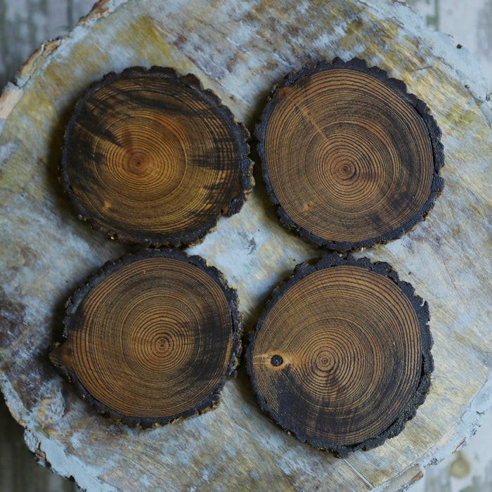 Natural Tree Wood Coasters with Bark & Dark Stain - Set of 4