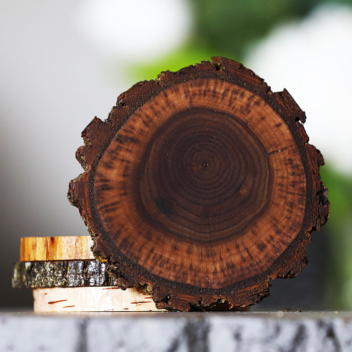 Variety Pack Natural Tree Wood Coasters with Bark