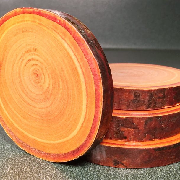 Rare Copper Birch Tree Wood Coasters with Bark (4-Pack)