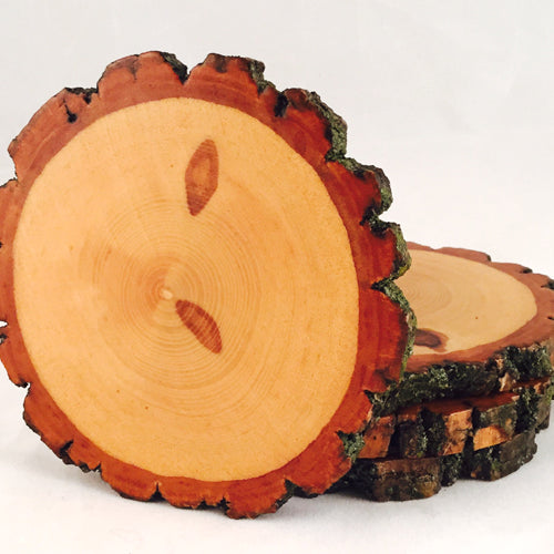 Natural Tree Wood Coasters with Bark (4-Pack or 6-Pack)