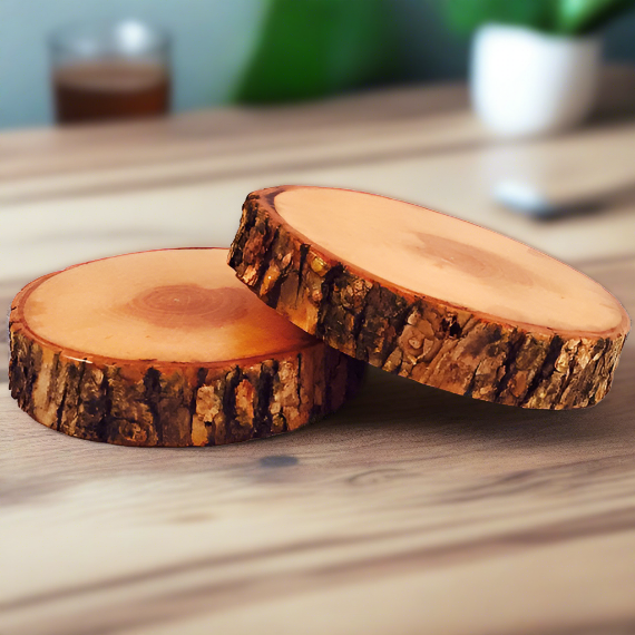 Jumbo Sized Natural Tree Wood Coasters with Bark (2-Pack)