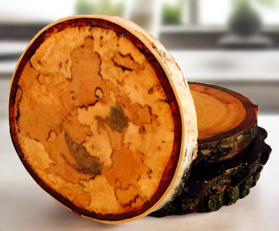 Tree Wood Drink Coasters