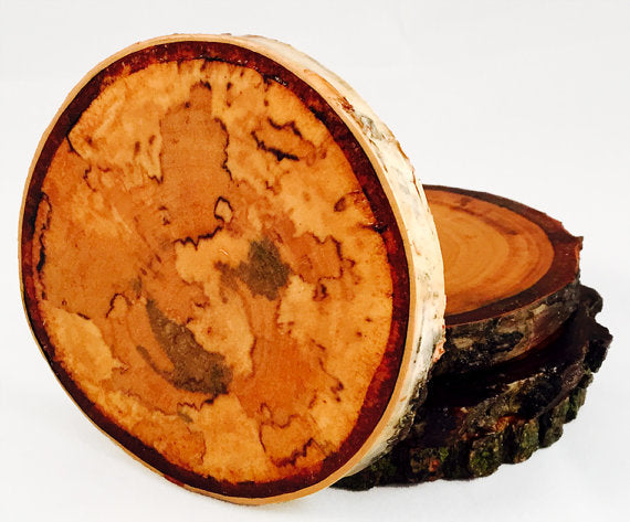 CoastersAssortedBirch