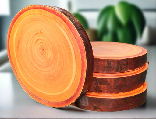 Copper Birch Wood Drink Coasters