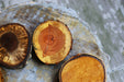 Tree Wood Drink Coasters