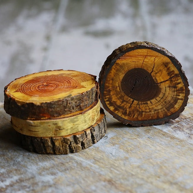 Tree Wood Drink Coasters