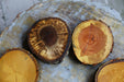 Tree Wood Drink Coasters