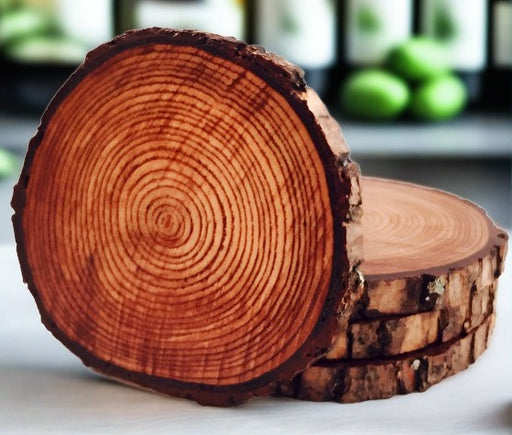 Light Stain Tree Wood Drink Coasters