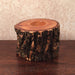 One and Only Locust Log Candle Holder