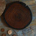 Variety Pack of Round Wood Coasters with Resin & Bark – Set of 4