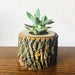 SucculentPlanter2