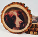 Customizable Tree Wood Coasters with Bark