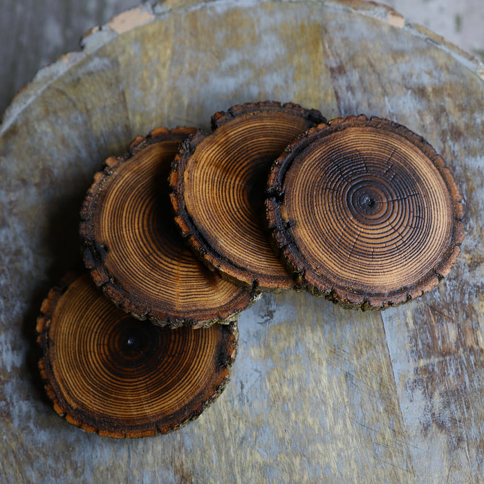 Shou Sugi Ban Style Burned Natural Tree Wood Coasters with Bark (4 or 6 Pack)