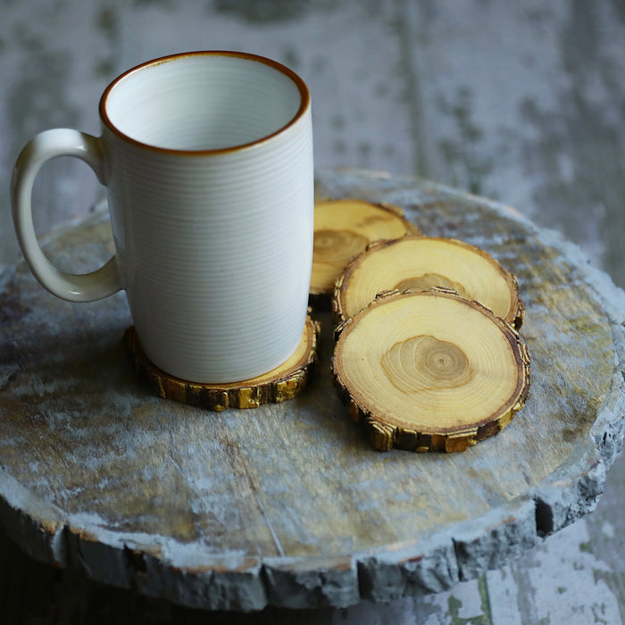 Tree Wood Drink Coasters with Beautiful Rare Brown & White Locust Bark, Sealed Locust Wood Drink Coasters, Wood Slice Beverage Coasters