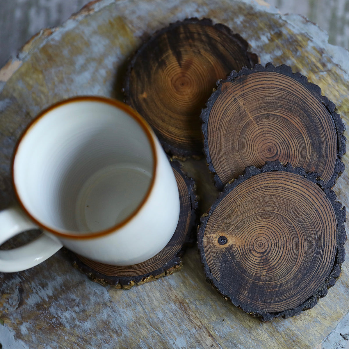 Mary Maxim Teacup Coaster Set Plastic Canvas Kit