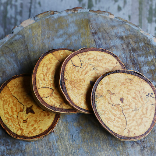 Rare Birch Tree Wood Coasters with Bark (4-Pack)