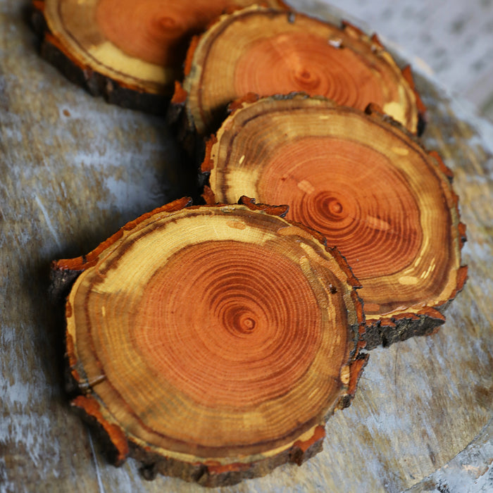 Rare Red Oak Natural Tree Wood Coasters with Bark