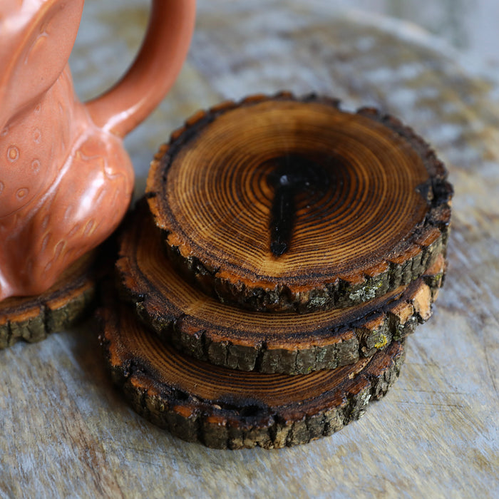 Shou Sugi Ban Style Burned Natural Tree Wood Coasters with Bark (4 or 6 Pack)