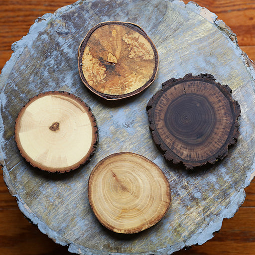 Natural Wood Coasters, With Bark, Tree Wood