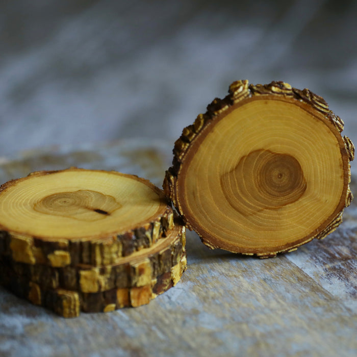 Tree Wood Drink Coasters with Beautiful Rare Brown & White Locust Bark, Sealed Locust Wood Drink Coasters, Wood Slice Beverage Coasters