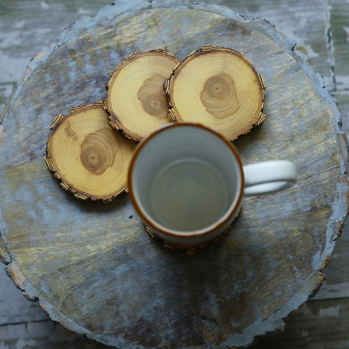 Tree Wood Drink Coasters with Beautiful Rare Brown & White Locust Bark, Sealed Locust Wood Drink Coasters, Wood Slice Beverage Coasters