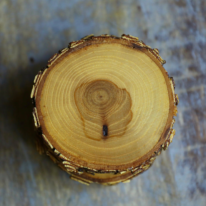 Tree Wood Drink Coasters with Beautiful Rare Brown & White Locust Bark, Sealed Locust Wood Drink Coasters, Wood Slice Beverage Coasters