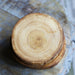 Barkless Natural Tree Wood Coasters (4-Pack)