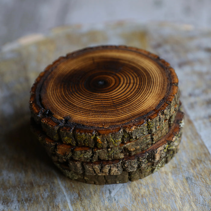 Natural Wood Drink Coasters - Rustic Log Originals