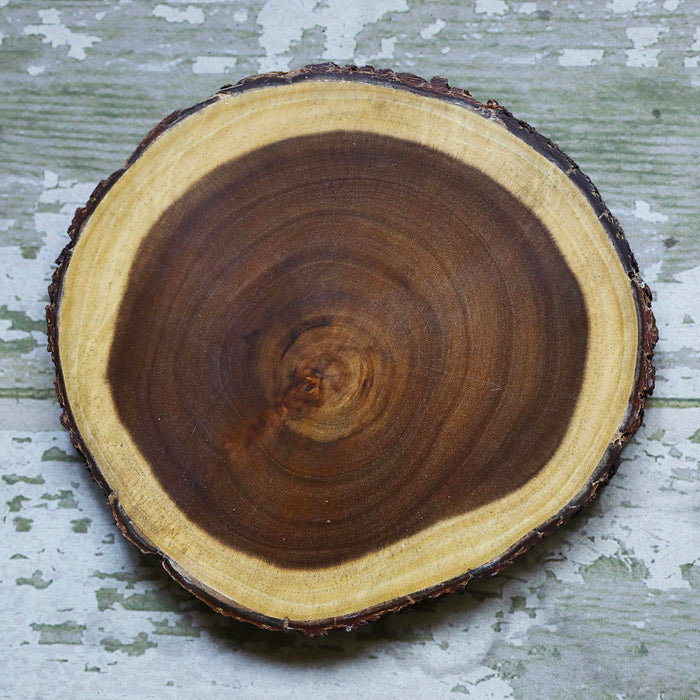 Tree Wood Round Cutting Board & Serving Tray with Bark