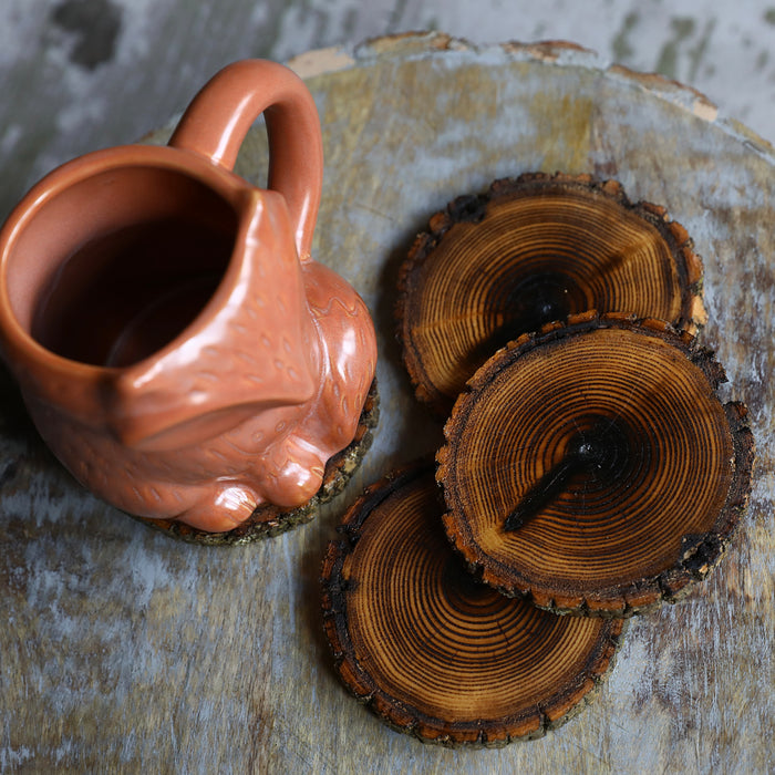 Shou Sugi Ban Style Burned Natural Tree Wood Coasters with Bark (4 or 6 Pack)