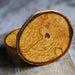 Rare Birch Tree Wood Coasters with Bark (4-Pack)